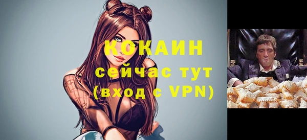 соль ск Богородицк