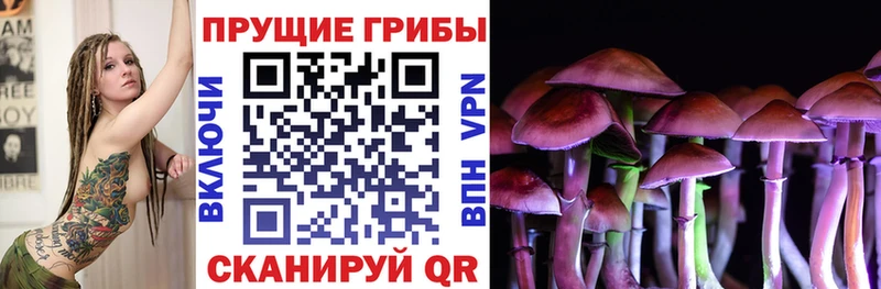 Псилоцибиновые грибы Cubensis  мега вход  Костомукша 